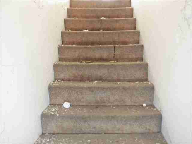 4182795_0011 - Copy.jpg